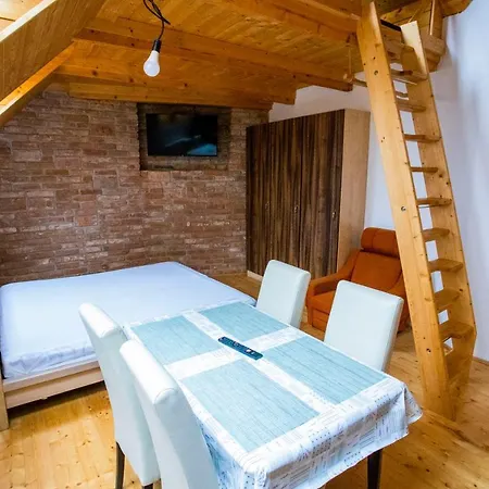 招待所 Statek U Kalinu 3*